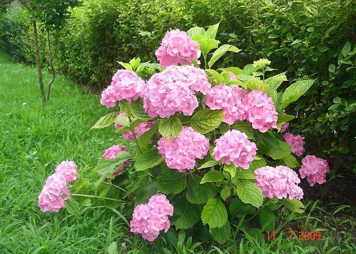 Ξενοδοχείο Friends Family Σάνι Μπιτς